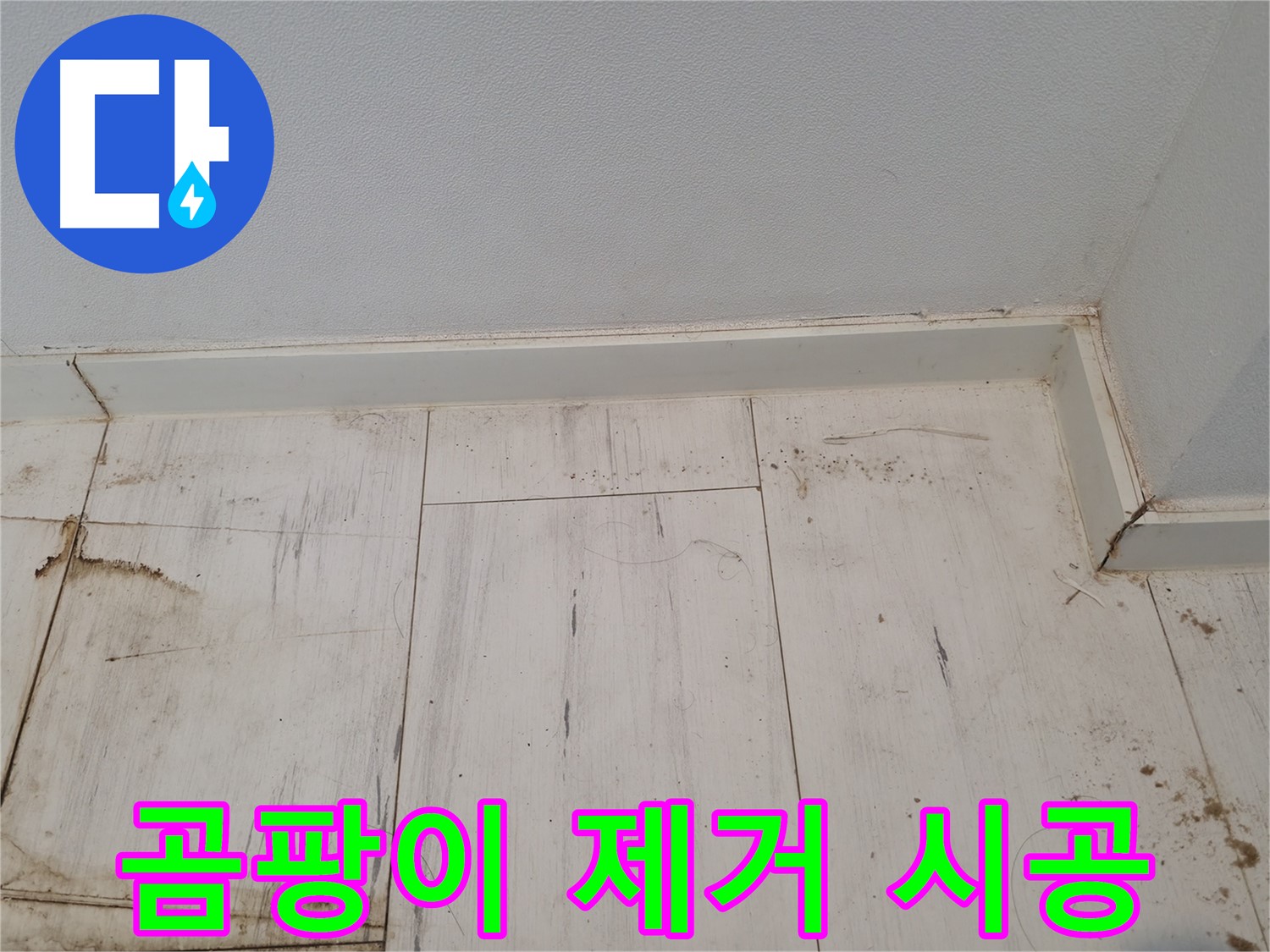 신림 누수 - 마루 곰팡이 완벽 제거 시공 - 쾌적한 환경