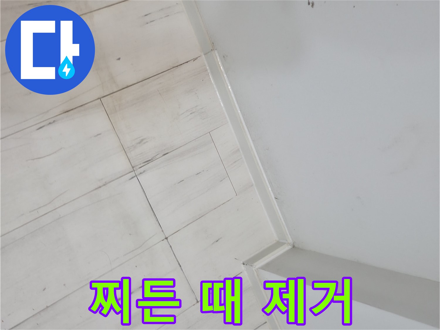 신림동 빌라 장판 찌든 때 누수 해결 작업