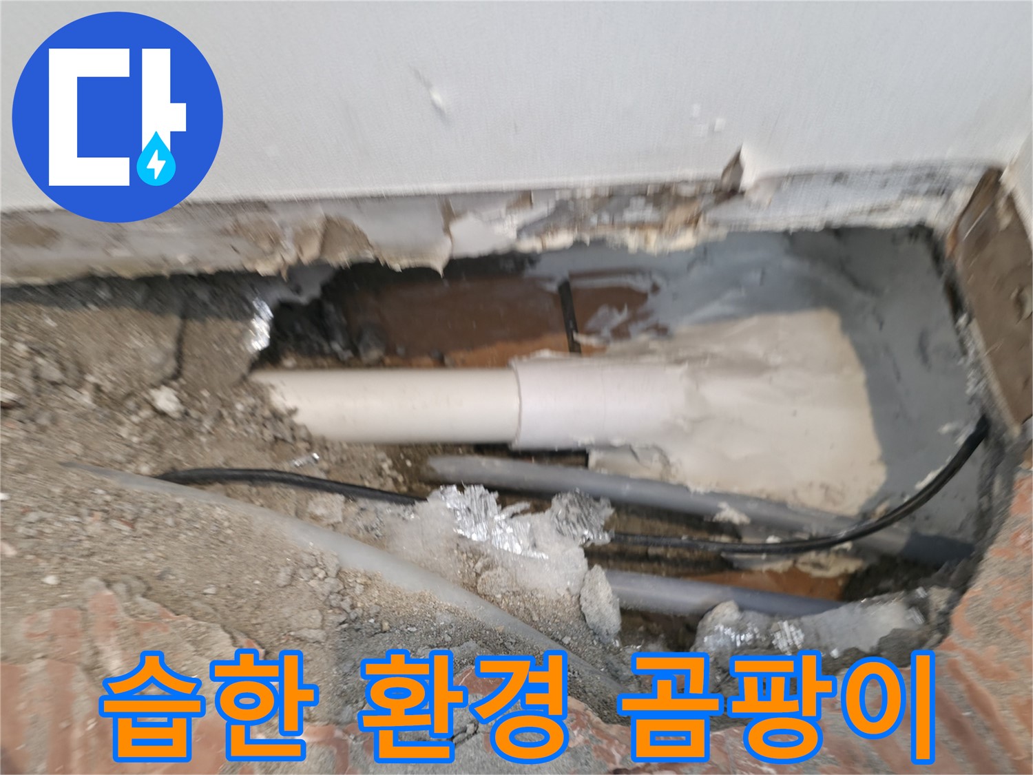 신림동 누수 공사 - 습한 환경, 곰팡이 발생, 누수 의심