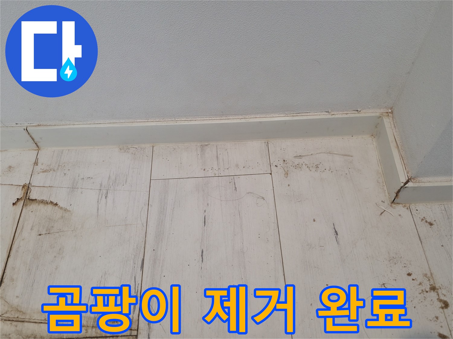 신림동 누수 - 마루 곰팡이 완벽 제거 - 쾌적한 공간 완성