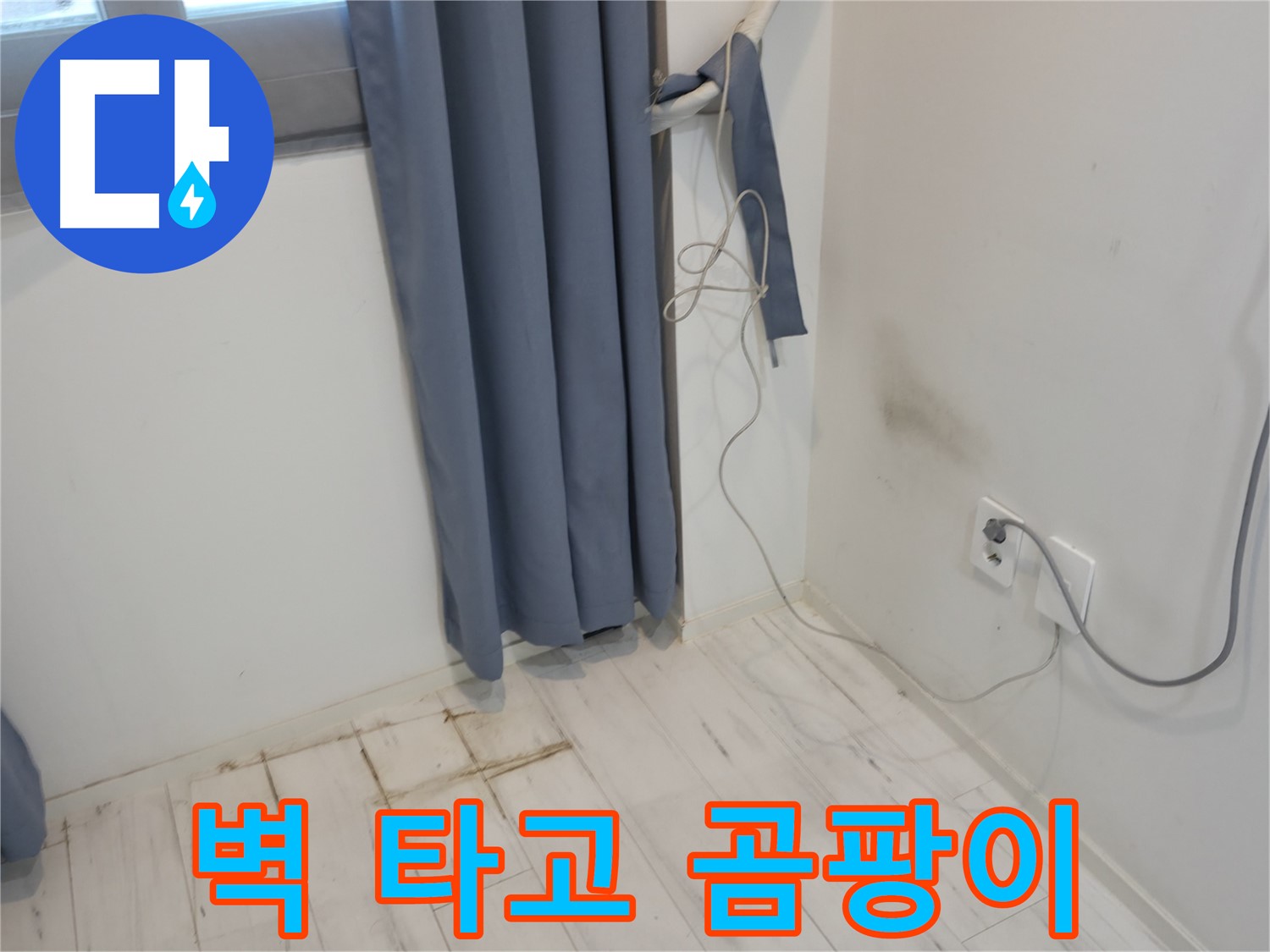 신림동 누수 - 벽 타고 내려오는 곰팡이 발견 - 누수 원인 파악 긴급 점검