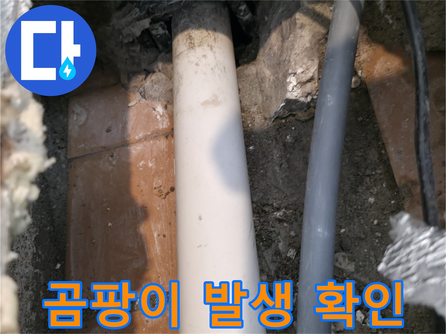 신림동 빌라 누수 - 배관 주변 곰팡이 발생 여부 확인 - 누수 확인
