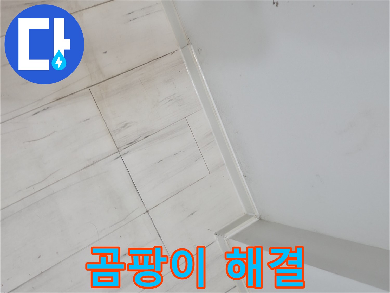 신림동 빌라 벽 모서리 곰팡이 - 누수 해결