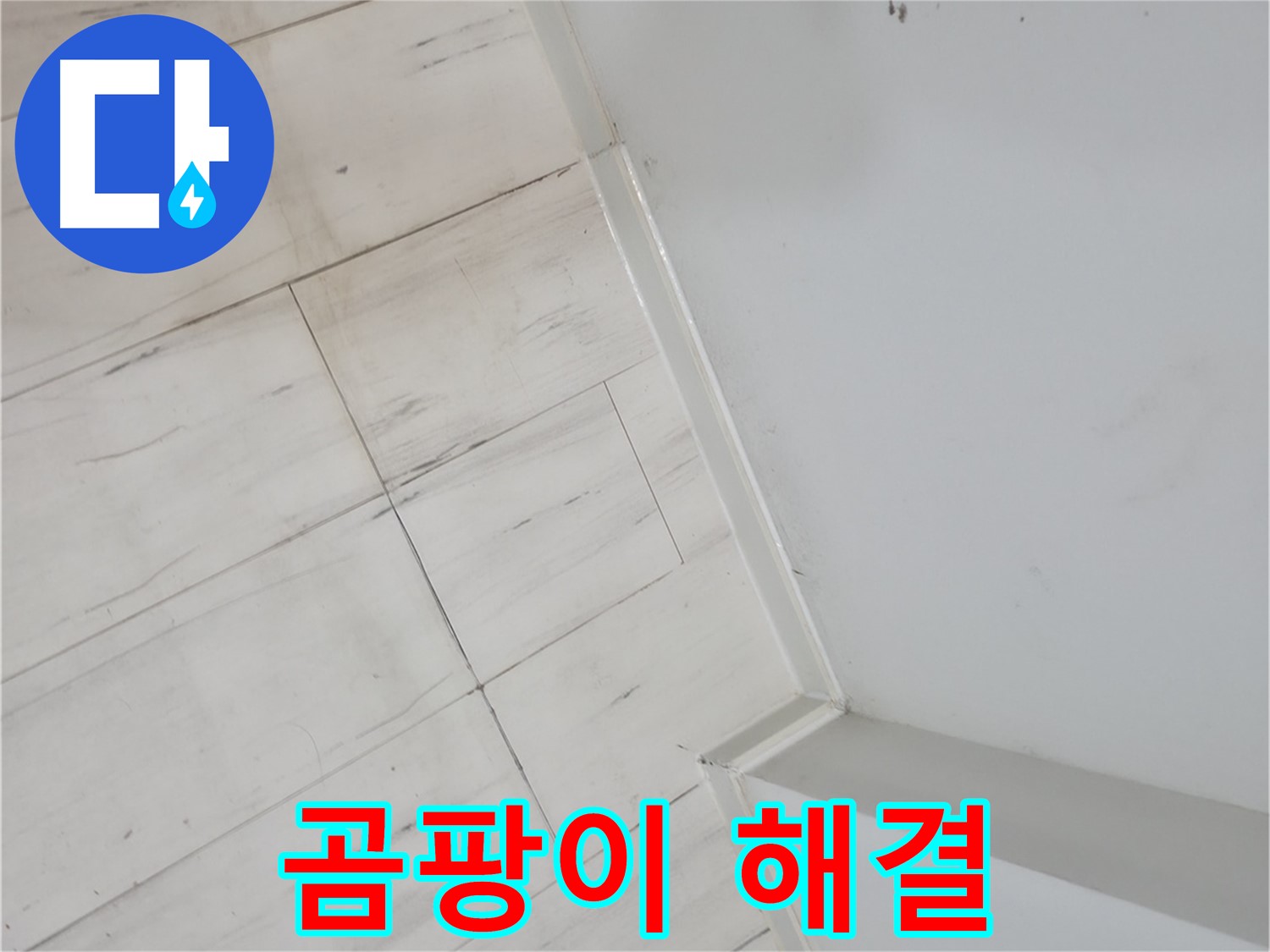 신림동 빌라 실리콘 곰팡이 - 누수 해결