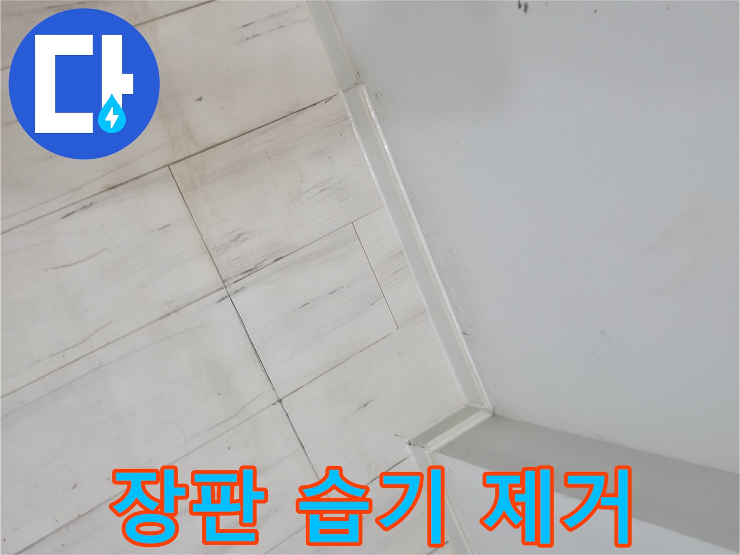 신림동 장판 밑 - 습기 누수 해결 전문가
