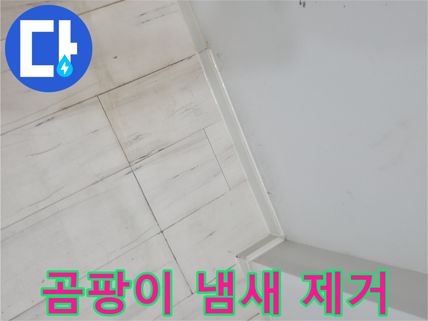 신림동 젖은 마루 곰팡이 냄새 누수 안전 위협 예방