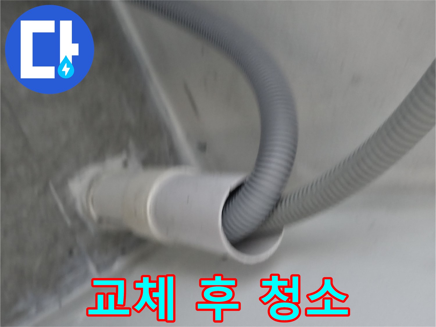 신림동 하이츠빌라 세탁기 배수 호스 교체 후 청소