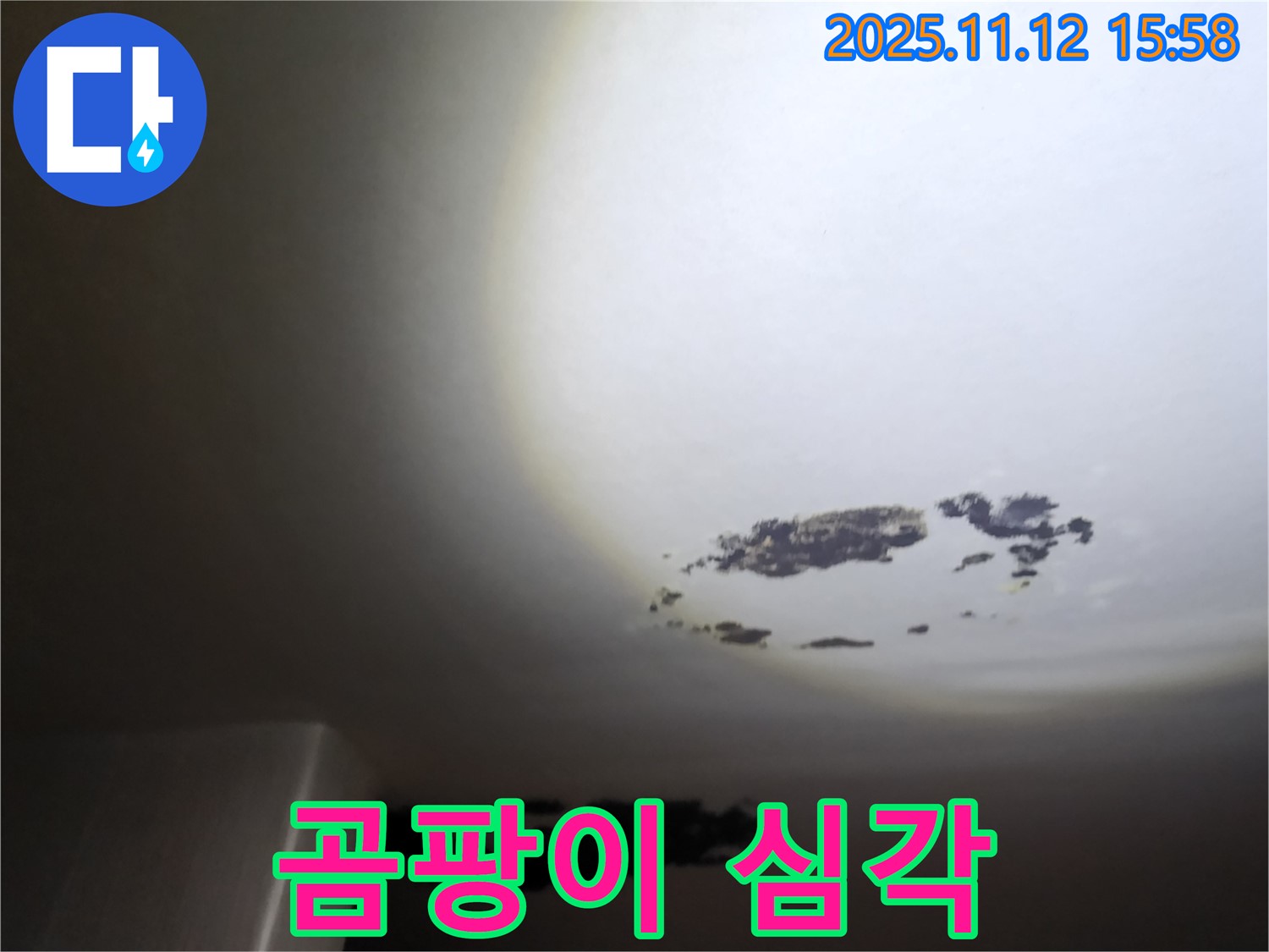 군내면 - 곰팡이로 얼룩진 천장 누수 현장