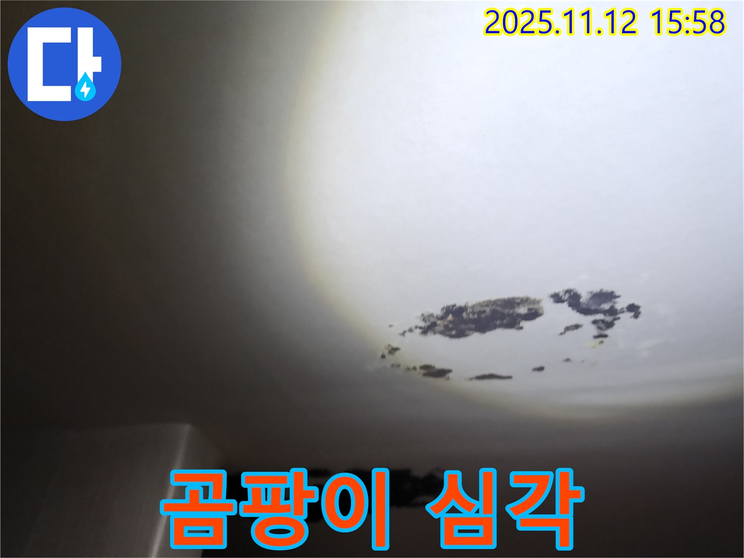 군내면 - 곰팡이로 얼룩진 천장 누수 현장