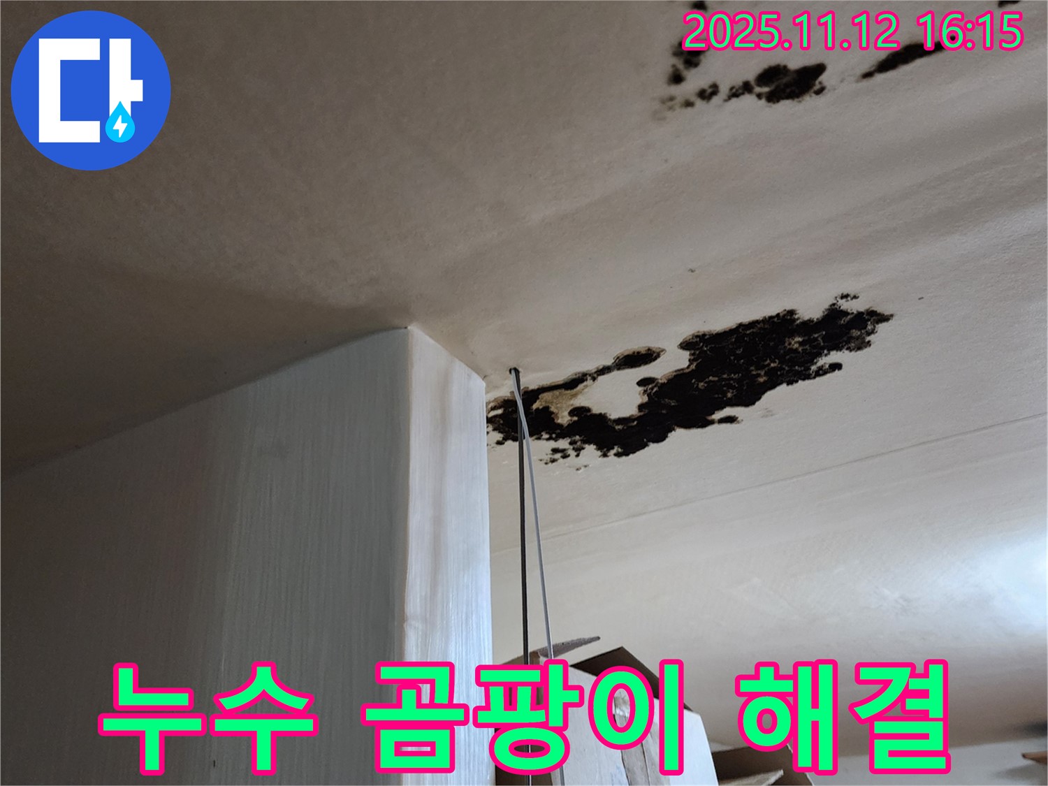 누수 해결 - 곰팡이 제거 - 군내면 구읍리 누수탐지 전문가 완벽 시공