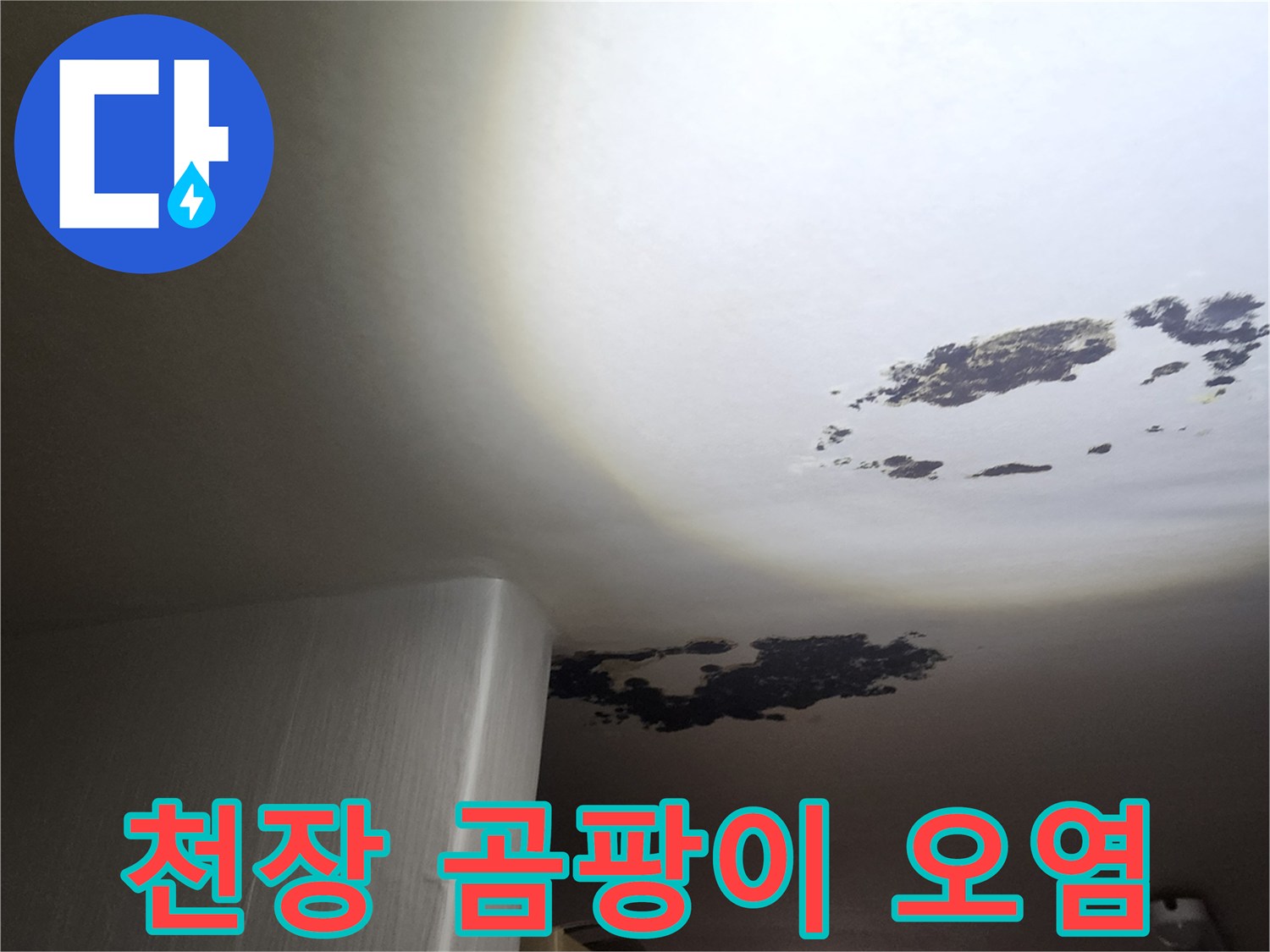 천장 마감재에 나타난 검은색 곰팡이와 습기 얼룩