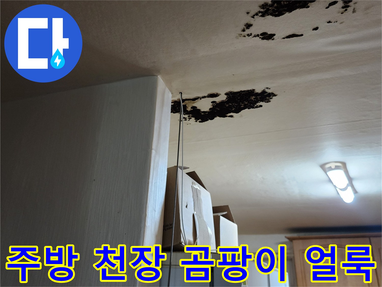 천장 마감재에 발생한 검은색 곰팡이와 물샘 흔적 사진