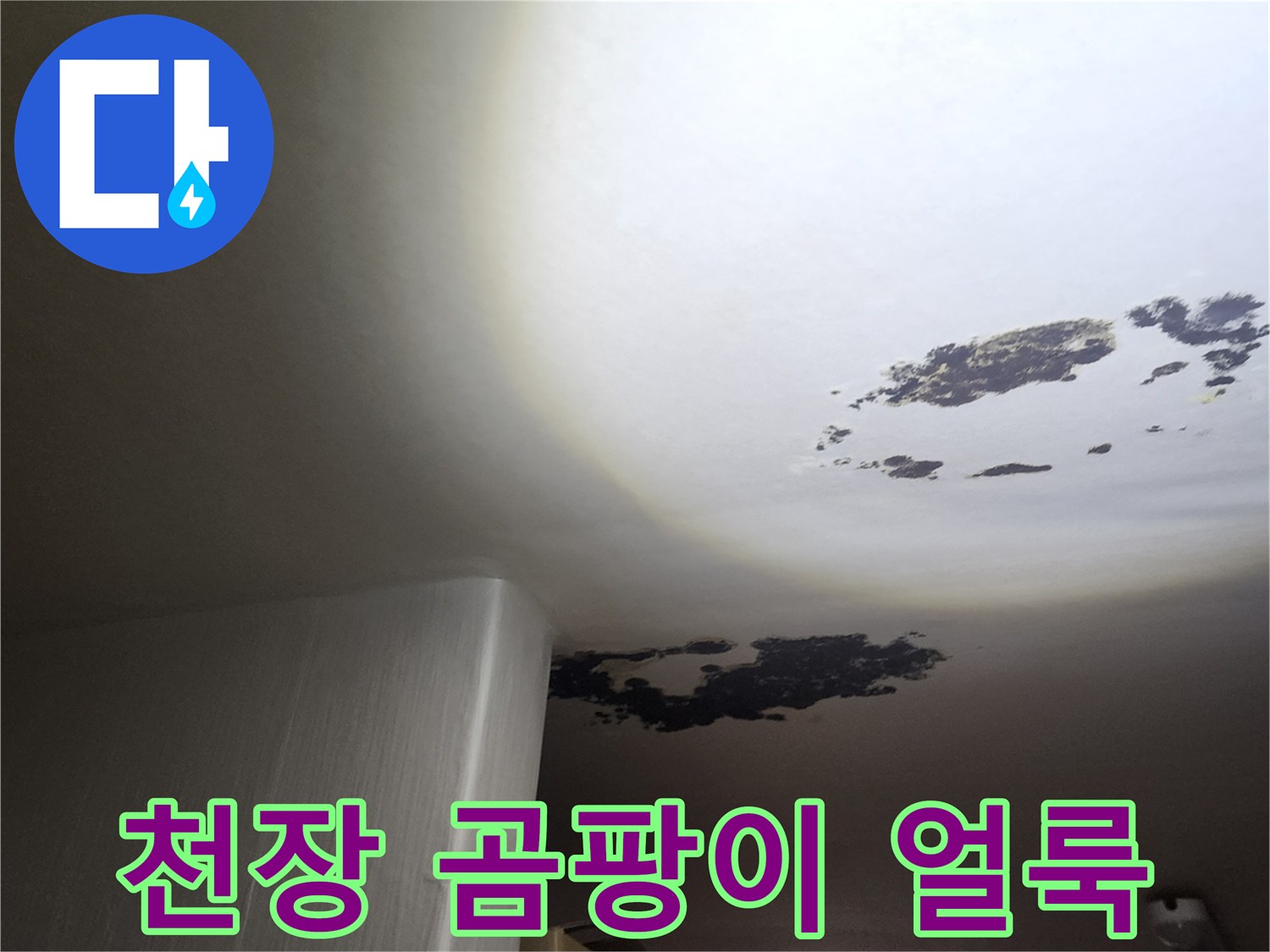 포천 구읍리 현장-천장에 발생한 검은 곰팡이와 물자국