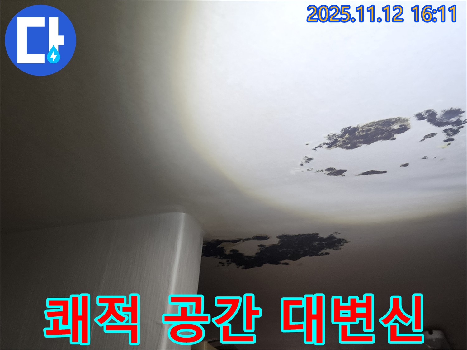 포천 누수 - 곰팡이 천장을 쾌적한 공간으로 대변신