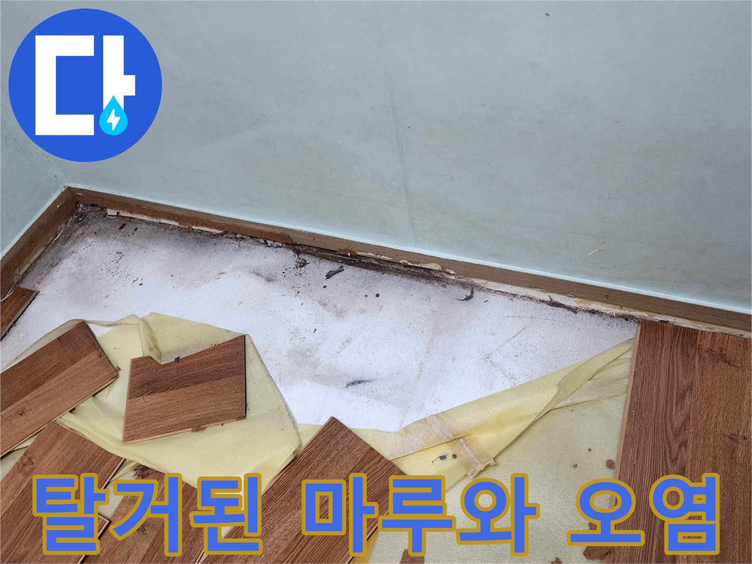 제거된 마루 판재와 곰팡이가 발생한 벽체 하단부의 모습
