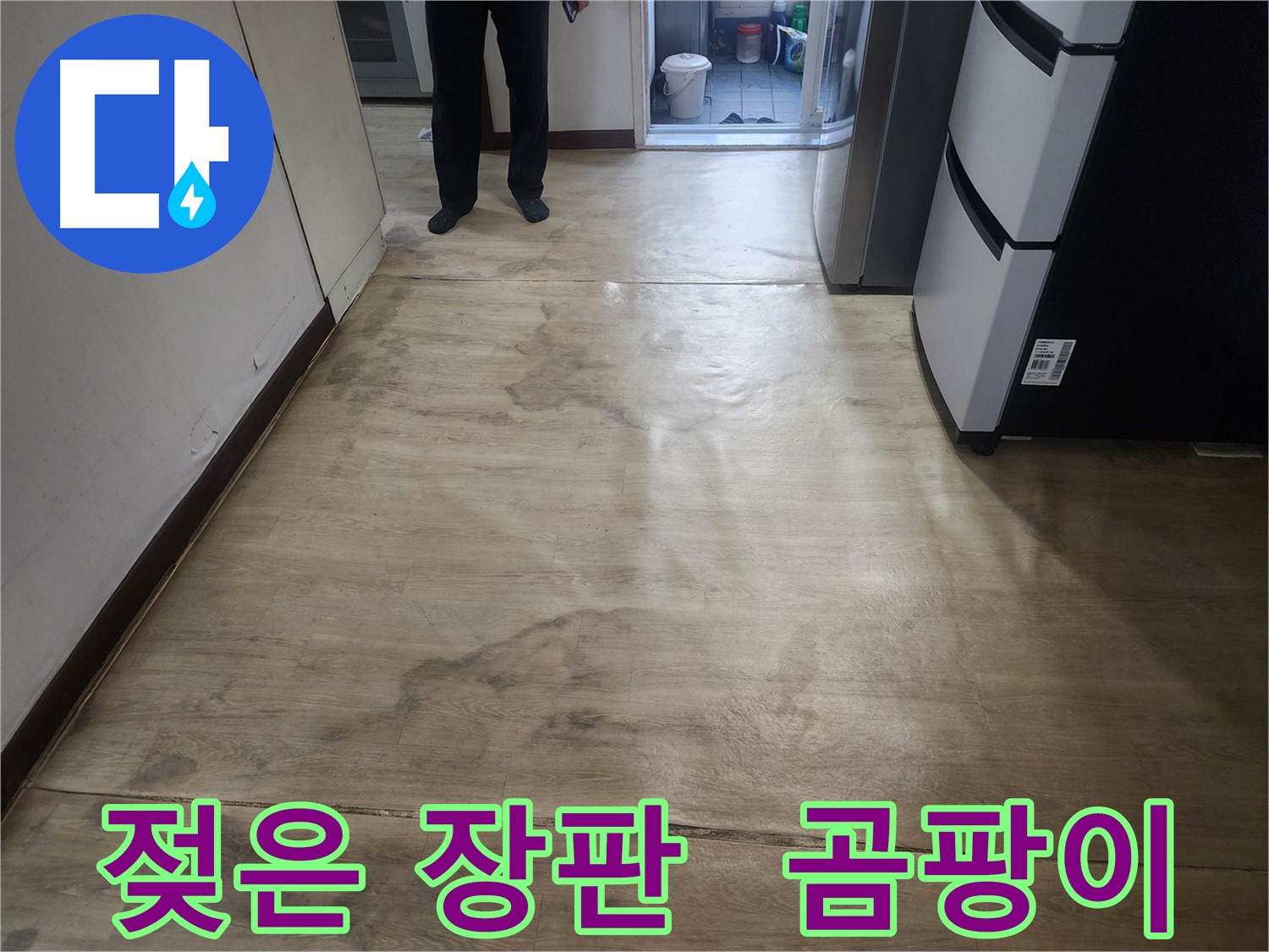 권선동 아파트 누수 - 젖은 장판과 곰팡이, 누수 원인 분석 필요 - 결로, 배관, 방수 문제 의심
