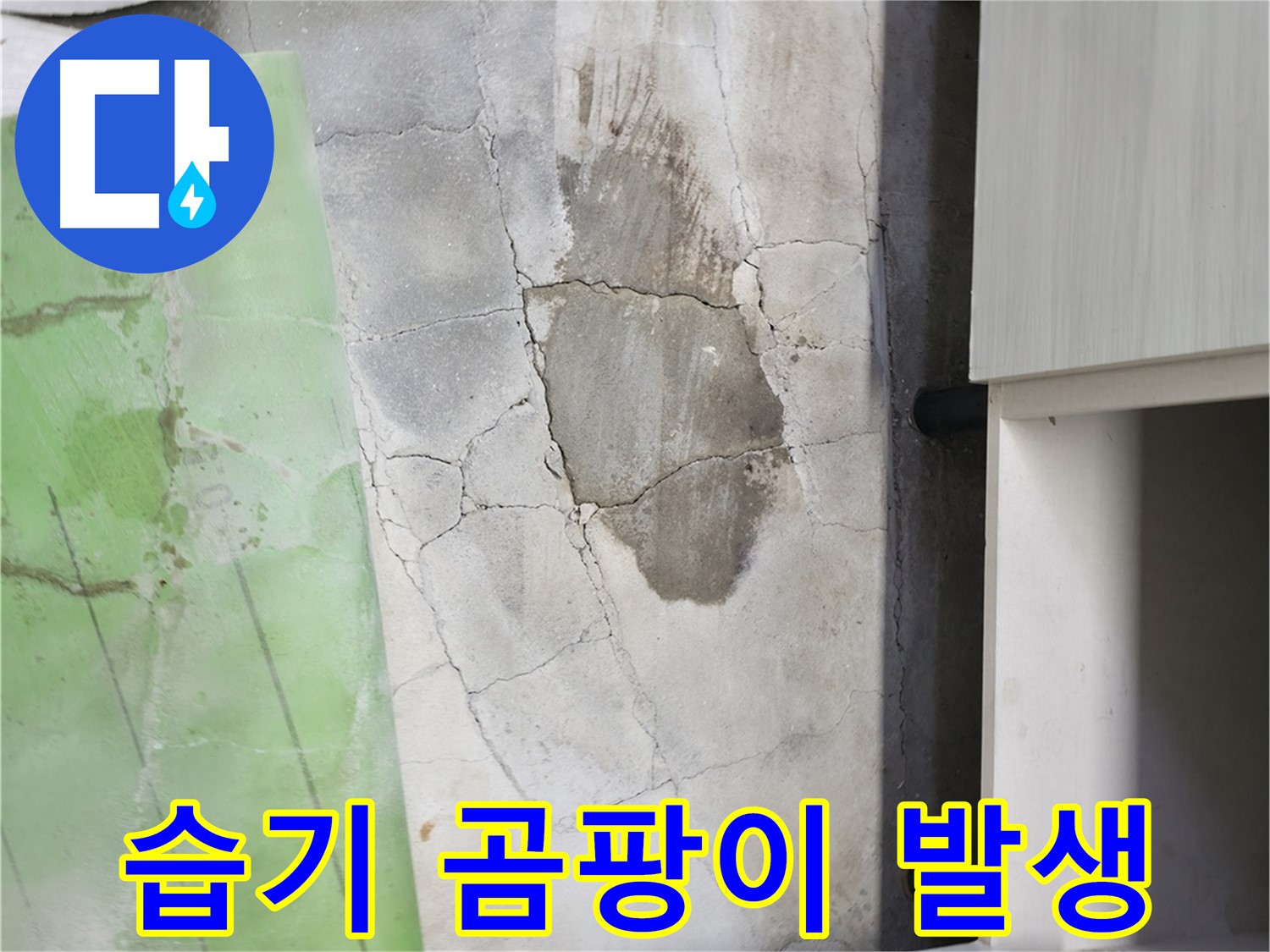 포천 신읍동 - 싱크대 주변 습기, 곰팡이 발생에 최적화된 환경