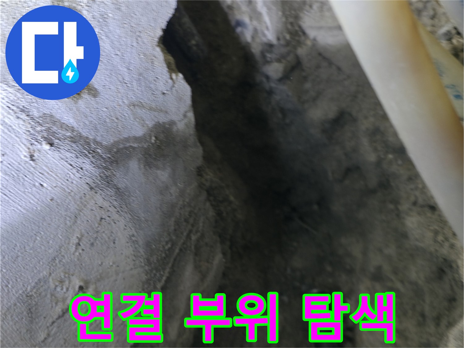 배관 연결 부위를 - 집중적으로 탐색하고 있습니다.