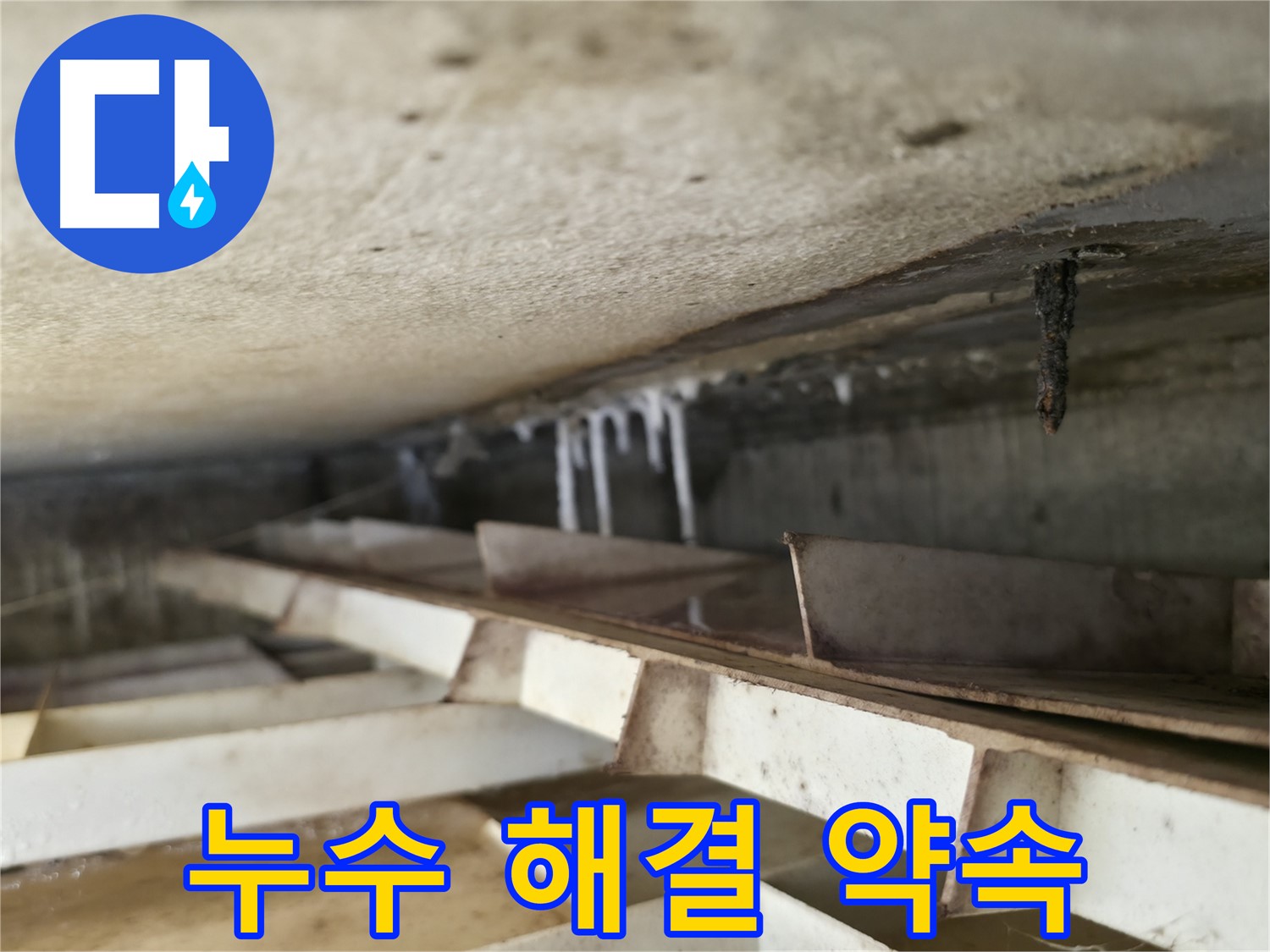 금천구 누수 전문가 - 독산동 현진아트빌 슬라브 누수 완벽 해결을 약속드립니다.