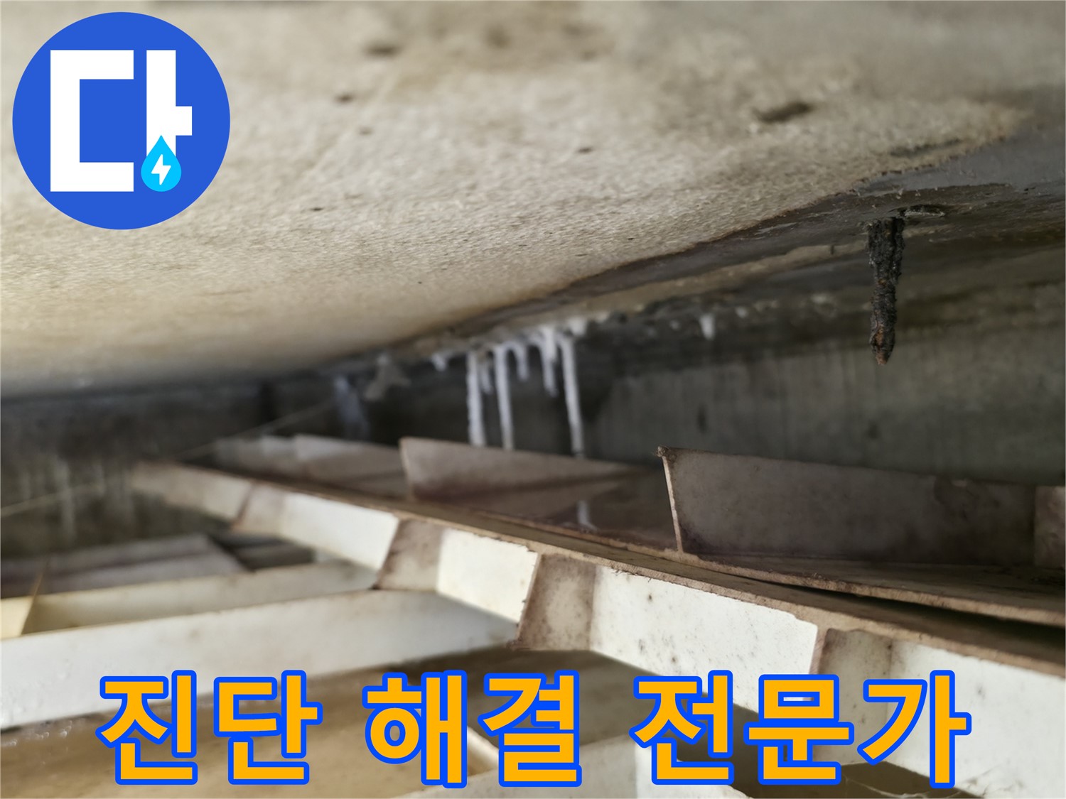 금천구 누수 전문가 - 독산동 현진아트빌 슬라브 누수 - 완벽한 진단과 해결을 약속드립니다.