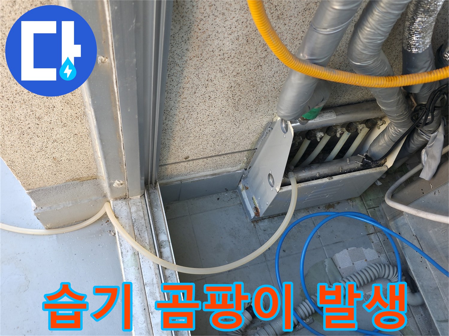 금천구 - 환풍구 주변 습기와 곰팡이 발생 - 누수 해결이 최우선입니다.