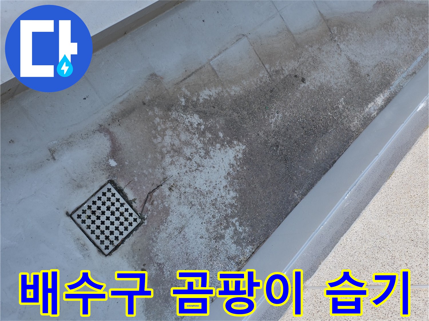 독산동 베란다 배수구 주변 곰팡이 발생 - 습기 문제를 진단합니다.