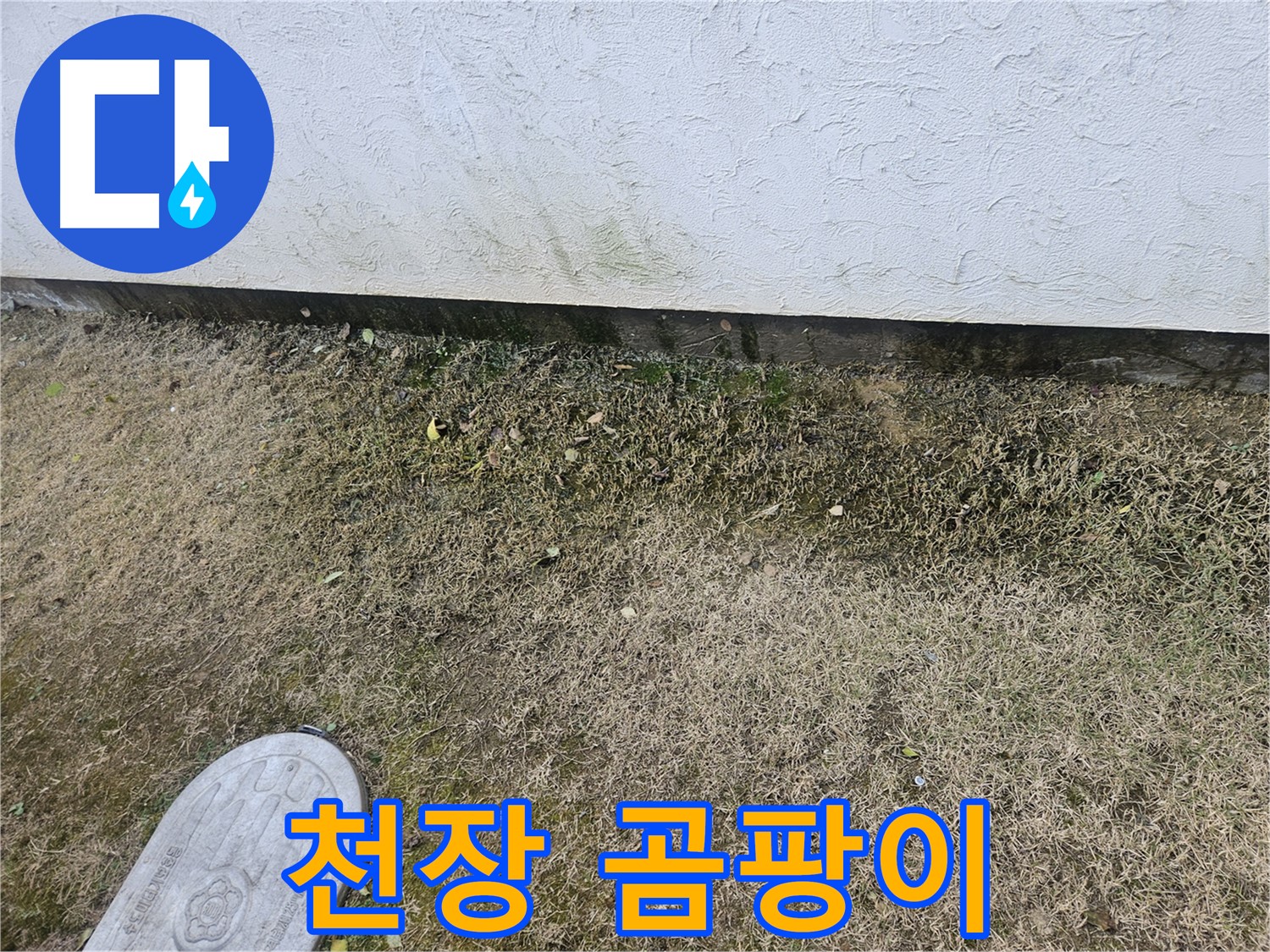 이천 창전동 누수 - 아파트 베란다 천장 누수 및 곰팡이 발생