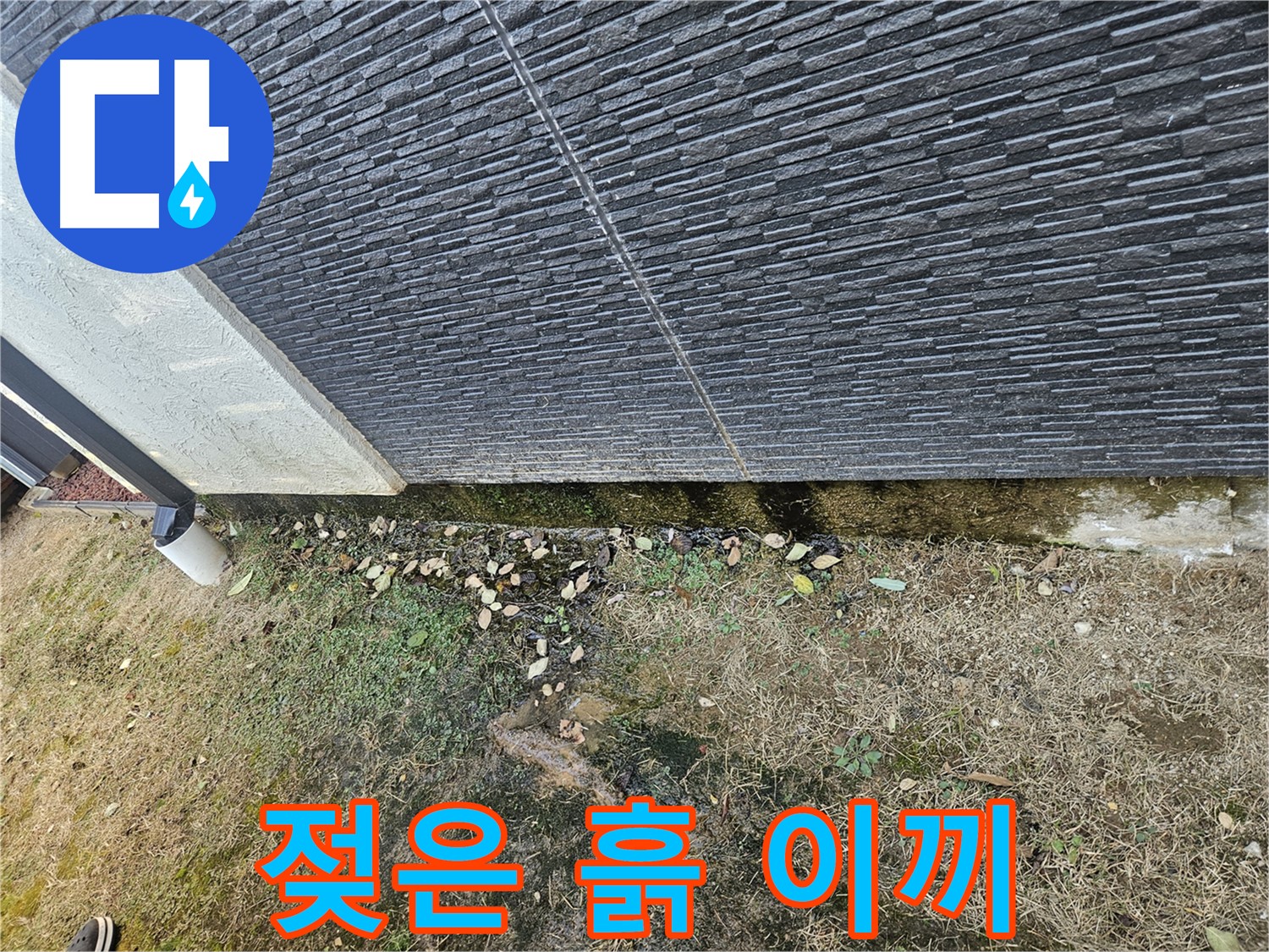 이천시 마장면 아리역로 외벽 누수 의심 - 젖은 흙과 이끼 - 습기 주의