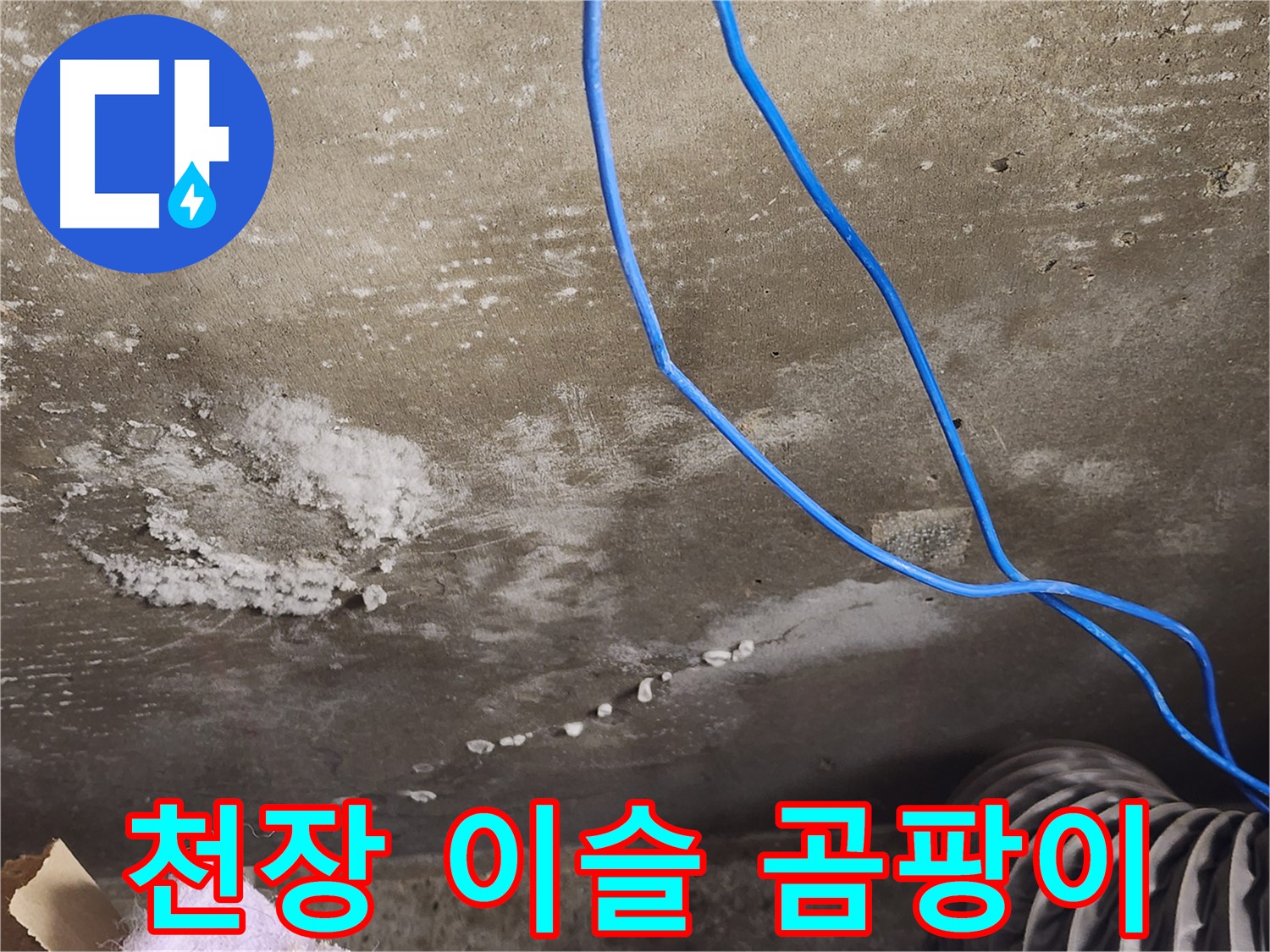 기흥구 보정동 콘크리트 천장 - 이슬과 곰팡이 냄새 - 누수 가능성 높음