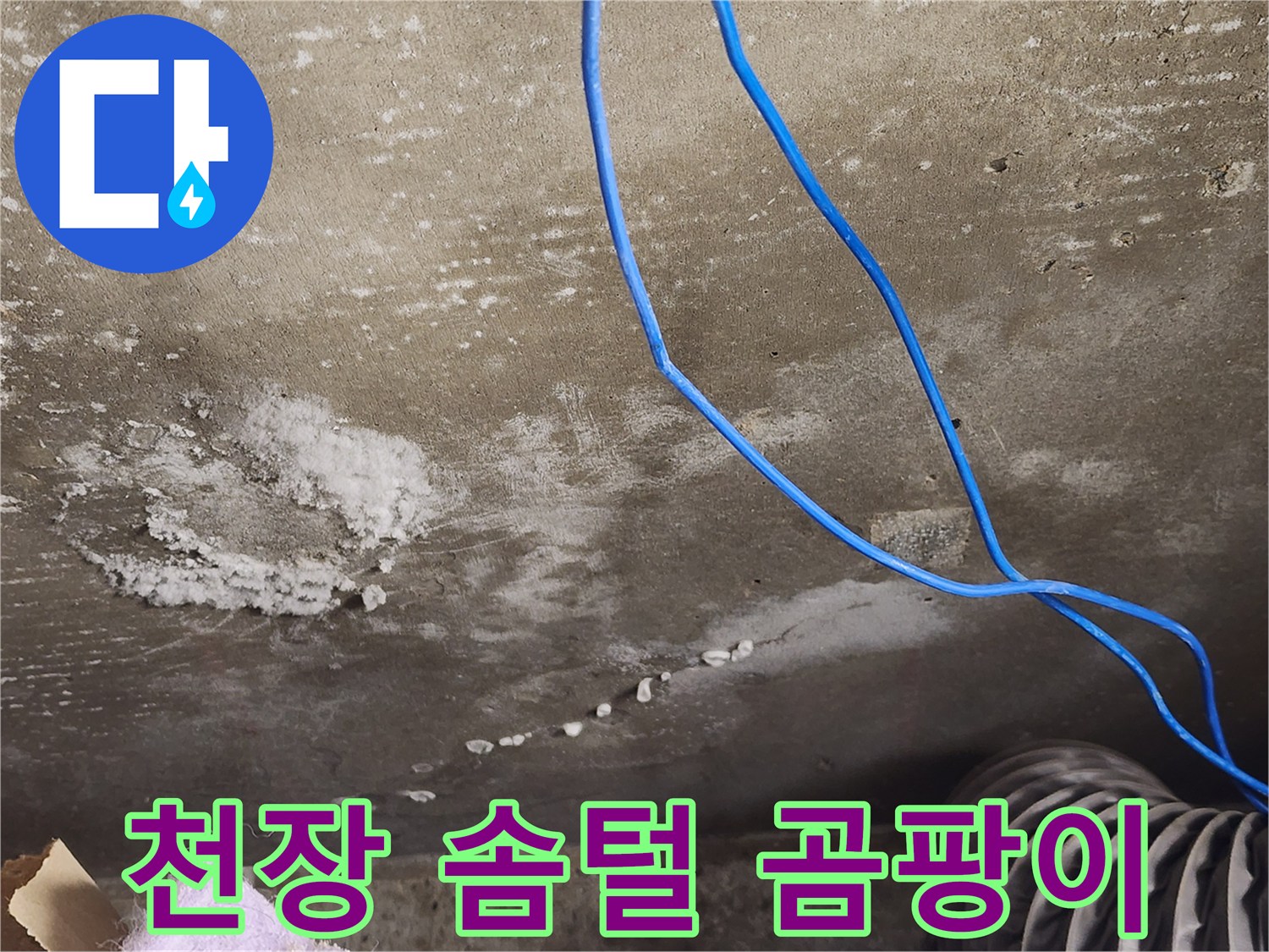 용인시 기흥구 보정동 콘크리트 천장 - 솜털 같은 곰팡이 - 긴급 점검 필요