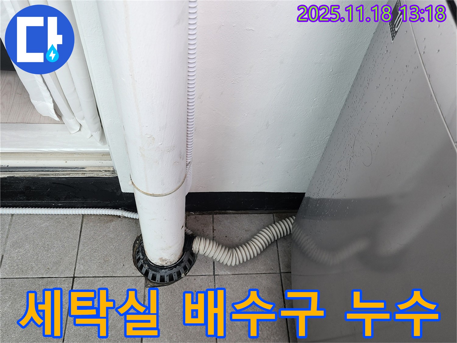 세탁실 배수구 주변 누수 - 노후된 배관 연결 부위에서 물이 새고 있는 모습입니다.