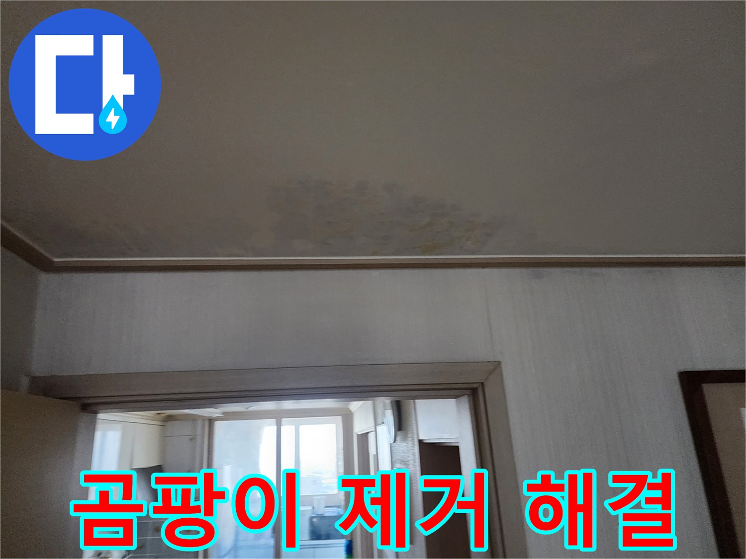 광명 두산위브 아파트 천장 누수 해결 및 곰팡이 제거 - 누수 전문가가 누수 문제를 해결하고 곰팡이를 제거하고 있습니다.