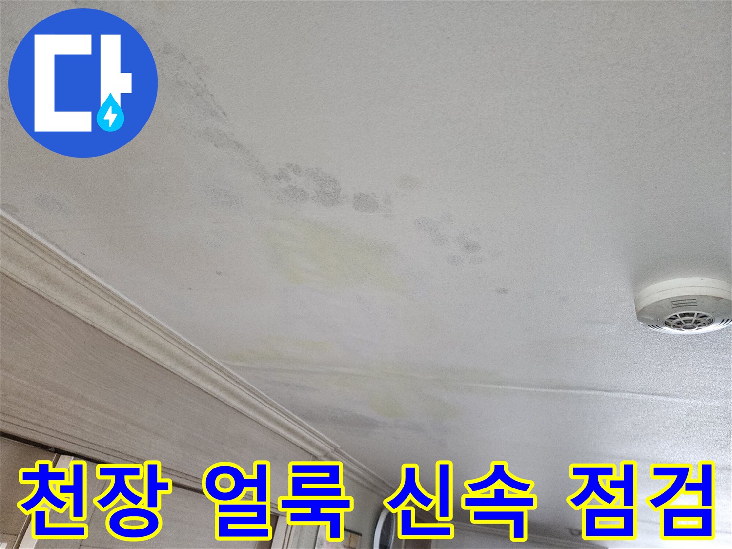 철산동 두산위브 103동 아파트 천장 얼룩 - 신속한 누수 점검