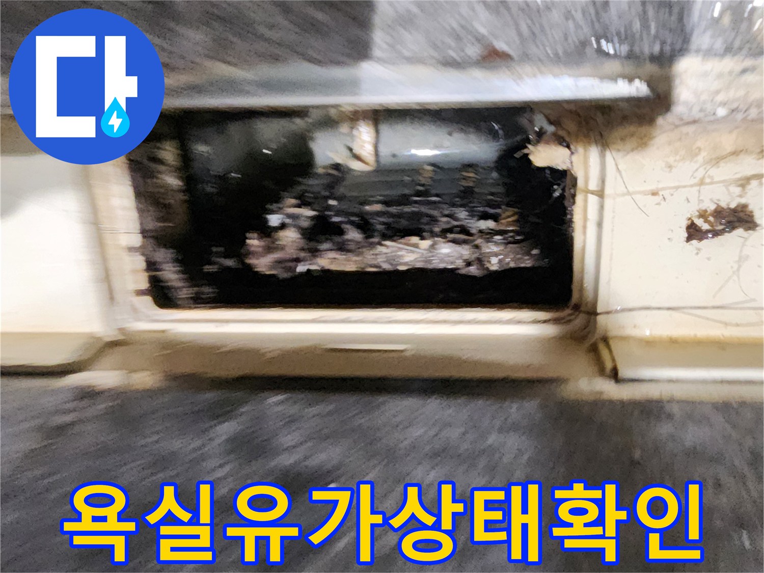 욕실-배수구-주변에-오물이-쌓여있고-습기가-가득한-상태입니다