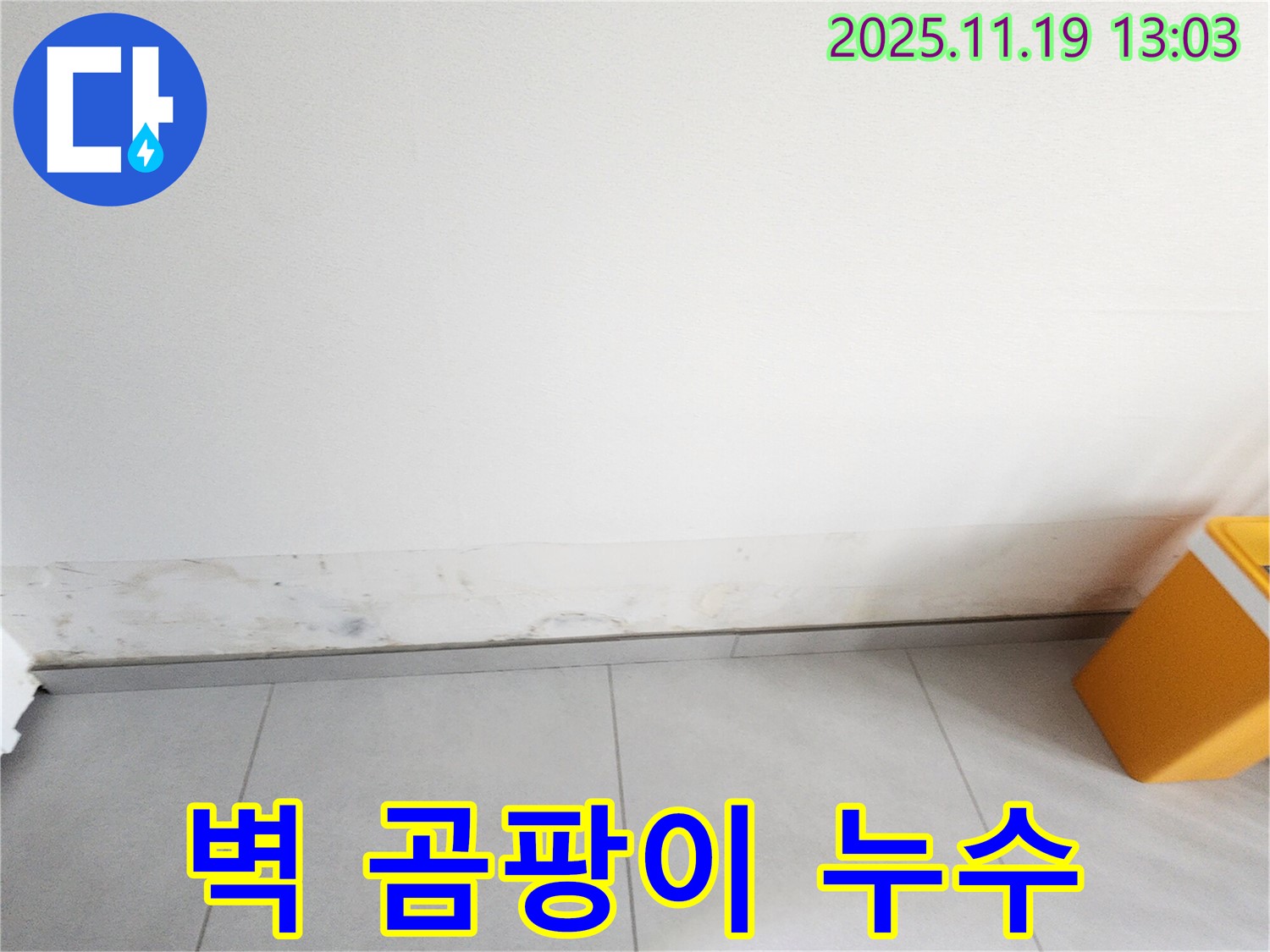 내촌 누수탐지 전문 업체 - 벽 곰팡이 제거 및 누수 문제 해결 과정