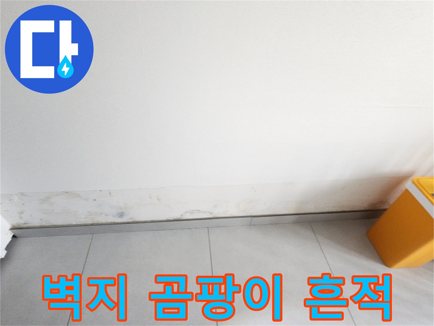내촌 현장 사진-벽면 하단부의 심한 변색과 오염 상태