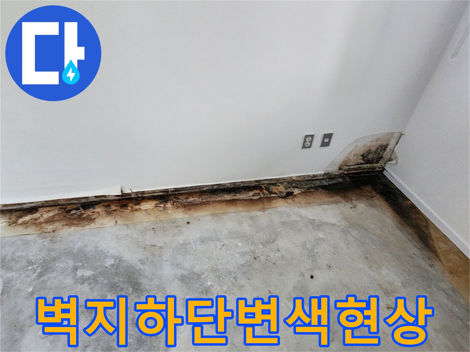 벽지 하단부가 젖어 검게 변하고 곰팡이가 피어있는 상태입니다
