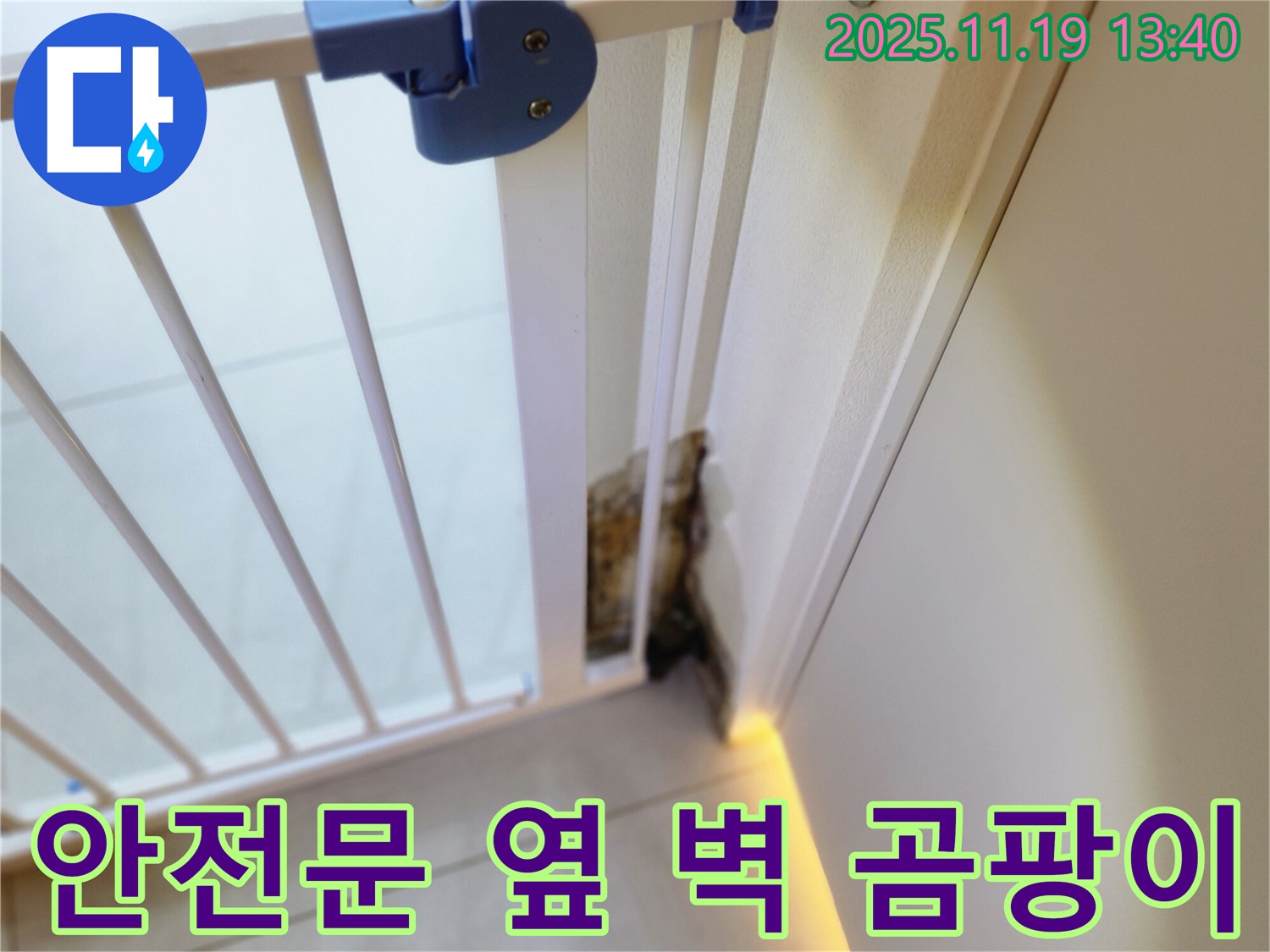 안전 문 옆 벽면의 곰팡이 - 베테랑 기술자 직접 시공