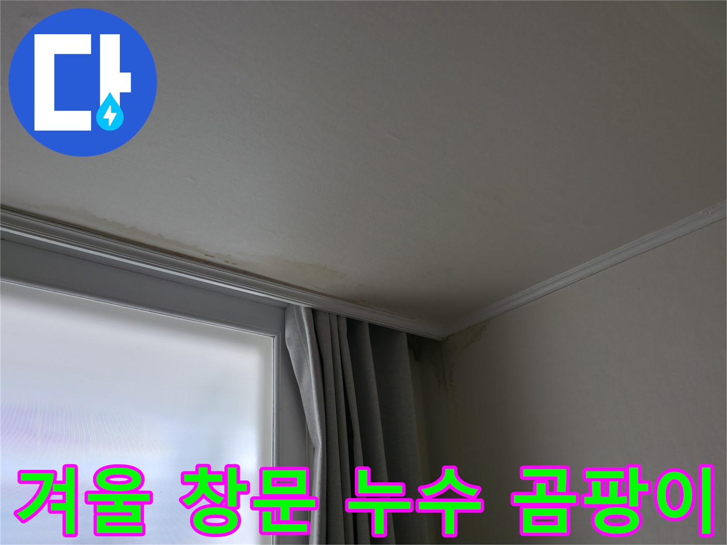 겨울철 창문 누수 - 곰팡이 문제 해결 전문