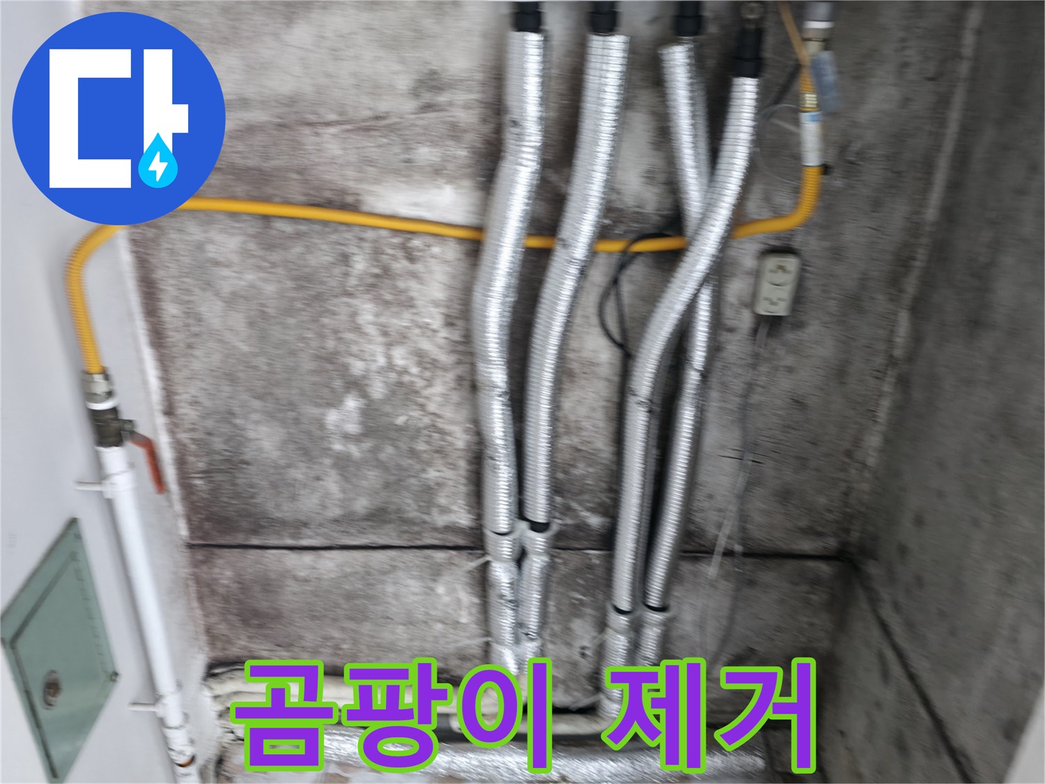누수 해결 후 깨끗해진 벽 - 곰팡이 걱정 없이 쾌적한 공간으로 변신!
