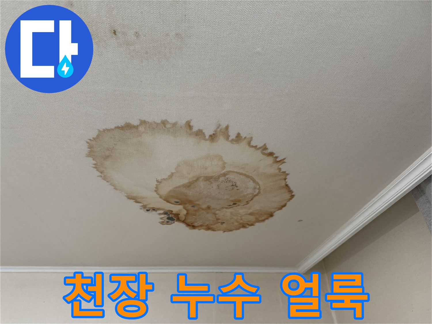 서대문구 세검정로 누수 - 천장에 넓게 퍼진 누수 얼룩