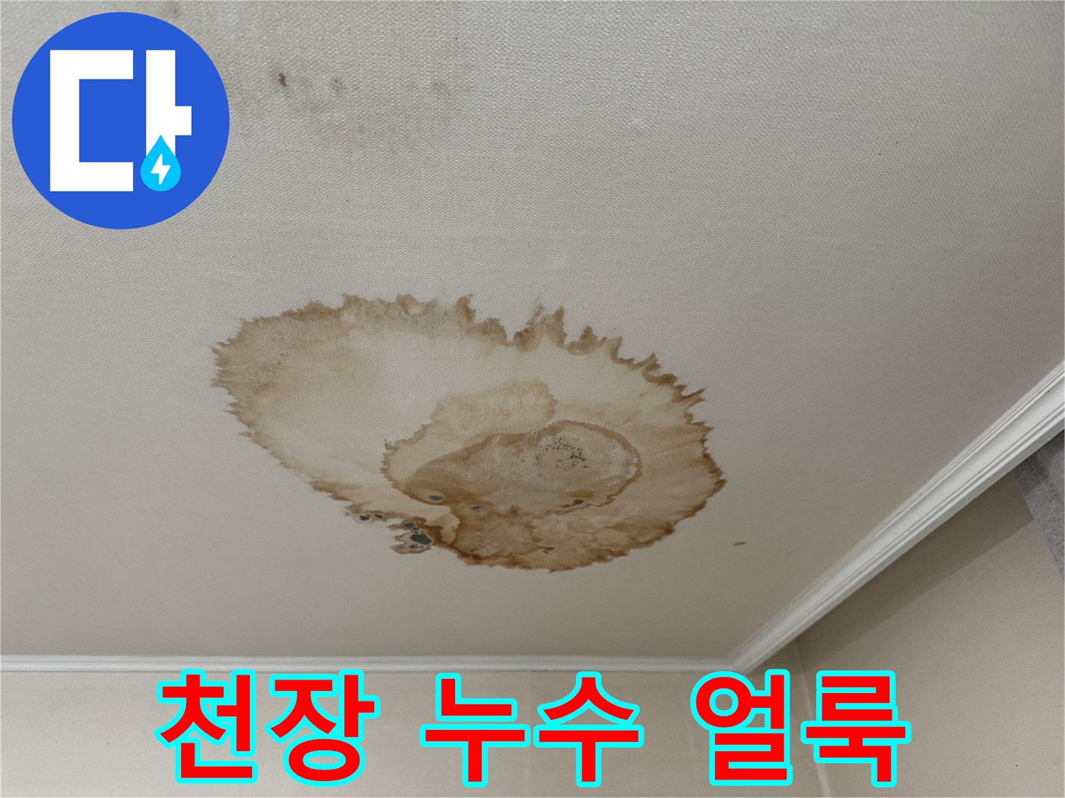 서대문구 홍제동 누수 - 천장에 생긴 둥근 누수 얼룩