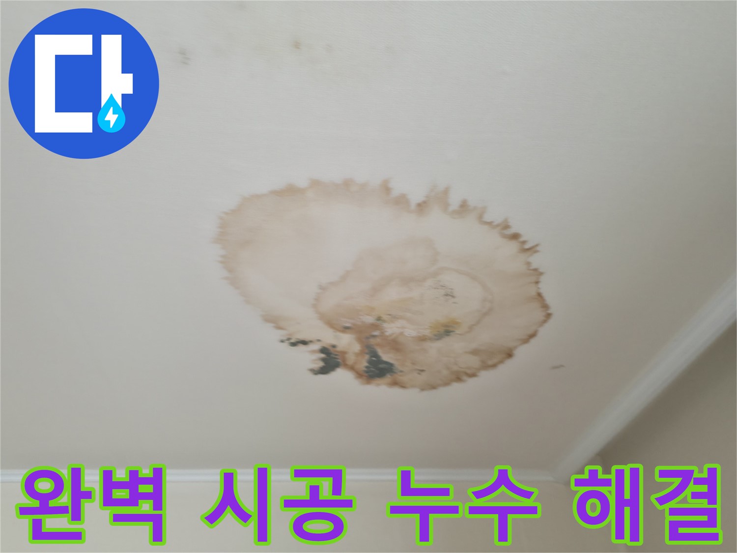 완벽한 시공 - 재발 없는 천장 누수 해결 - 서대문구 세검정로