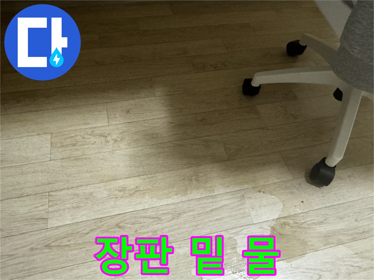 장판 밑에 물이 고여 있는 모습 - 곰팡이 발생 위험이 높습니다.