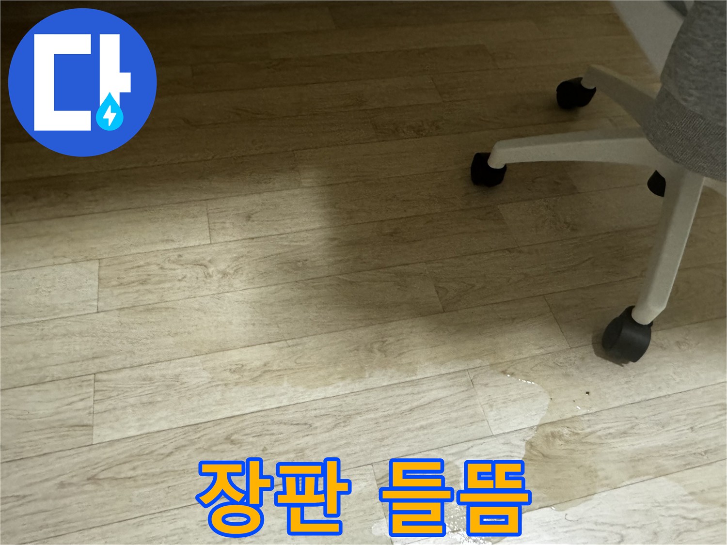 장판이 들떠 있는 모습 - 습기로 인해 장판 손상이 우려됩니다.