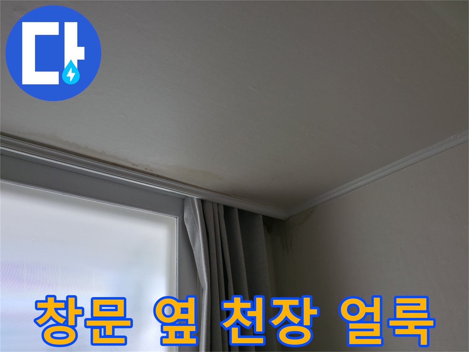창문 옆 천장 얼룩 - 곰팡이 초기 증상 의심