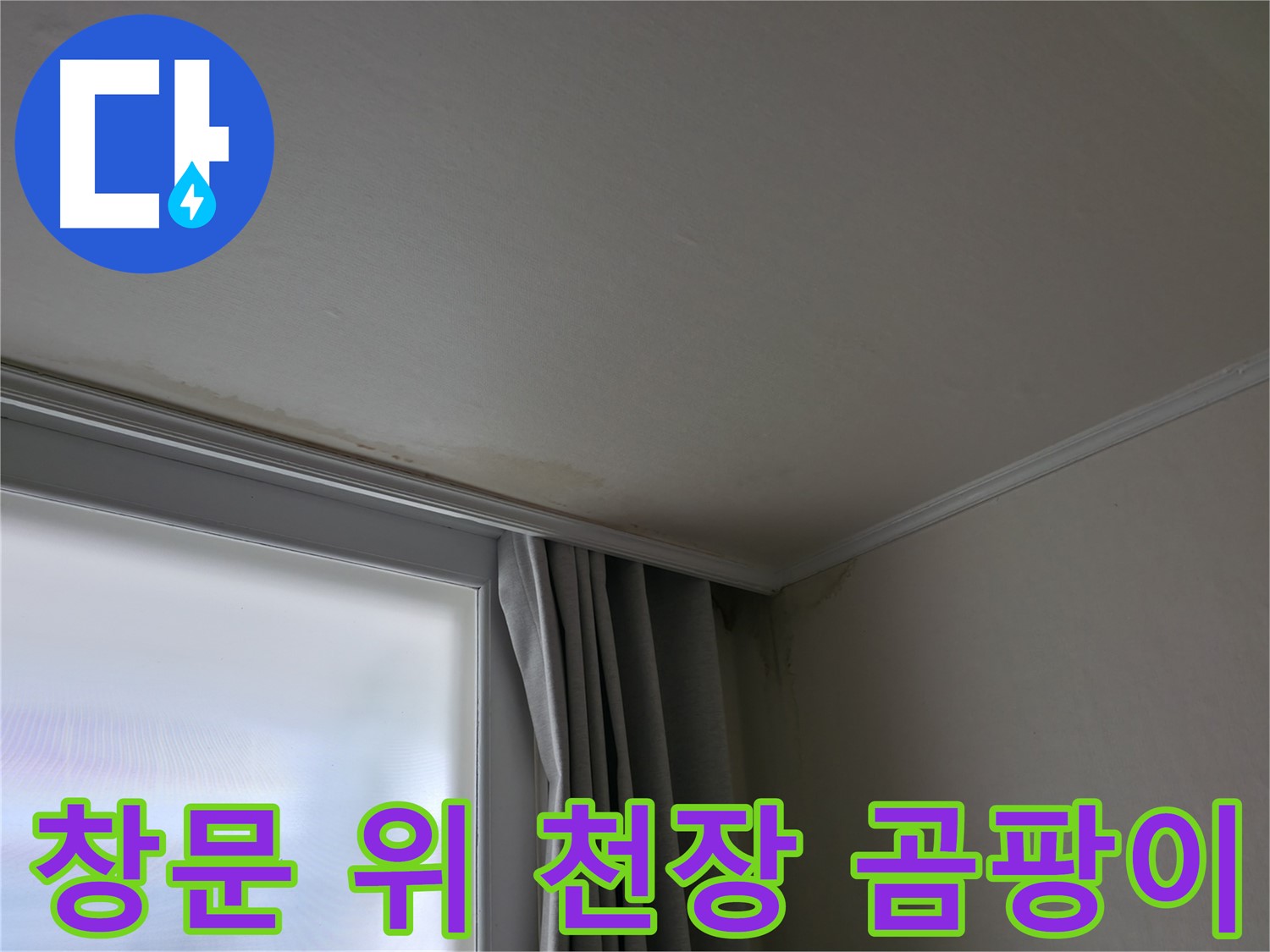 창문 위 천장 곰팡이 - 곰팡이 제거 및 방지 시공