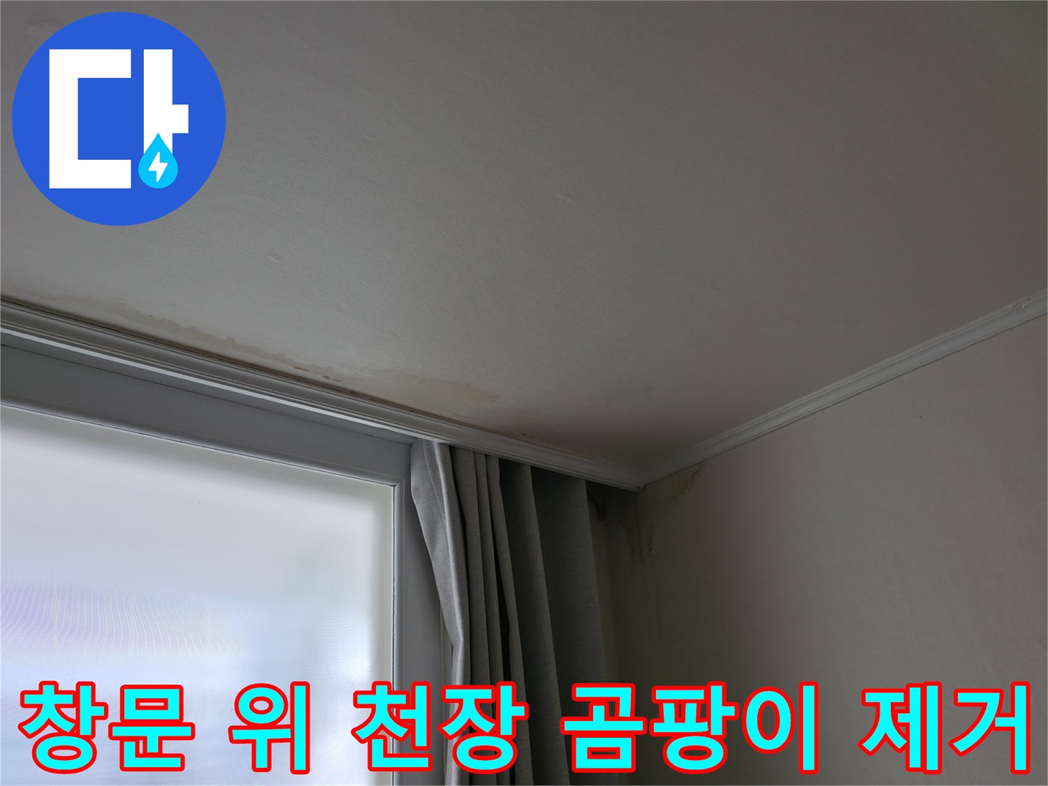창문 위 천장 곰팡이 - 곰팡이 제거 및 방지 시공