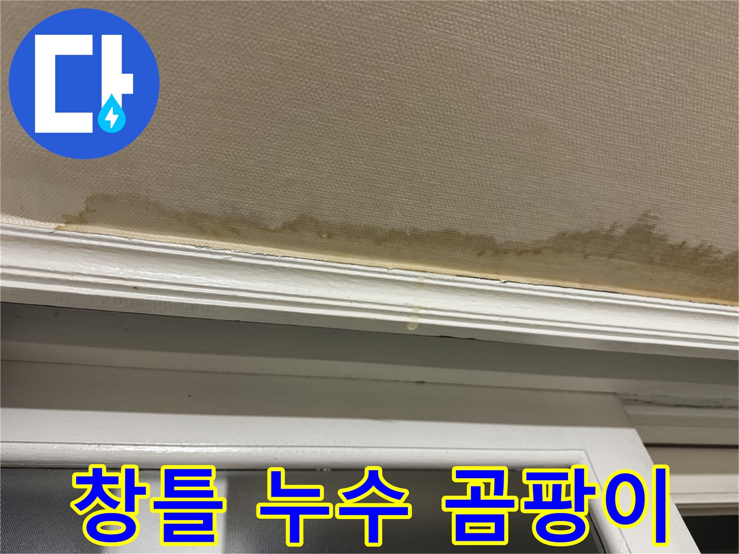 창틀 하부에 맺힌 물방울과 벽지 변색 - 곰팡이 발생으로 인한 누수 피해 상황을 보여주는 이미지입니다.