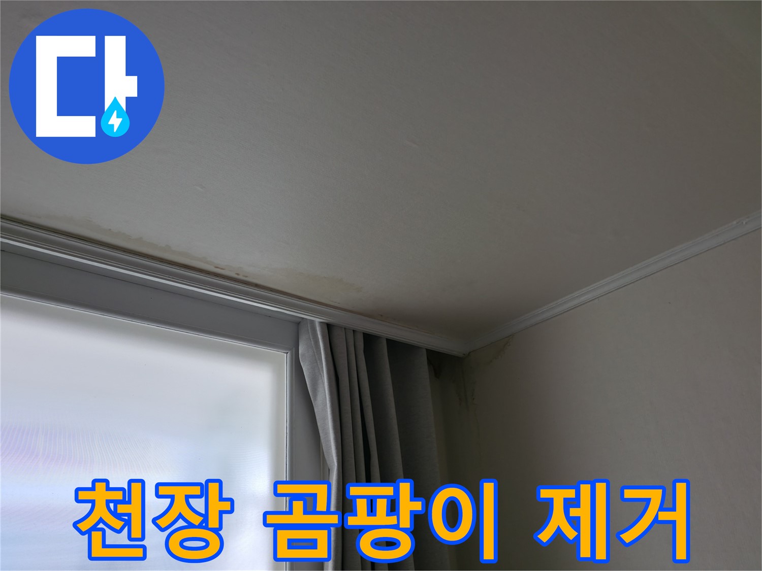 천장 곰팡이 - 누수 해결 후 쾌적한 환경